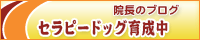 �C�܂���X�V�u���O�u�g���C�A�X���[�g�ւ̓��v